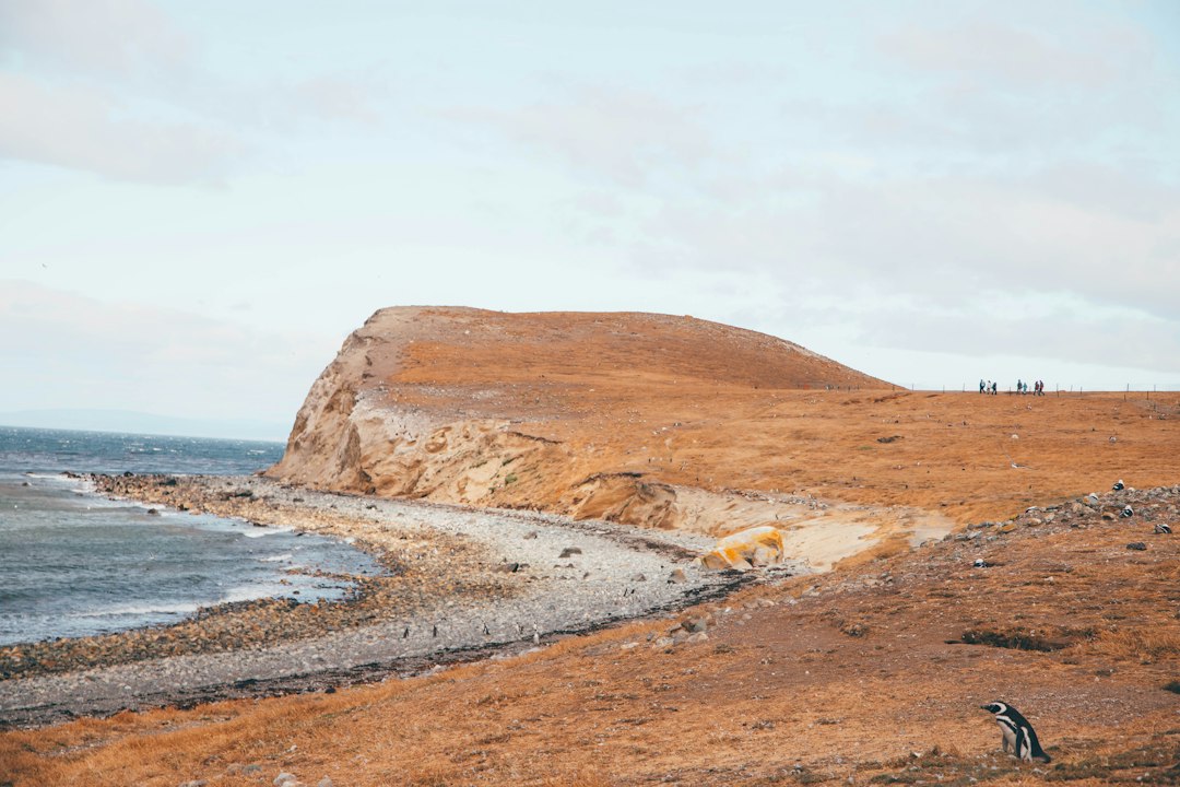 Expedition gateway coastline