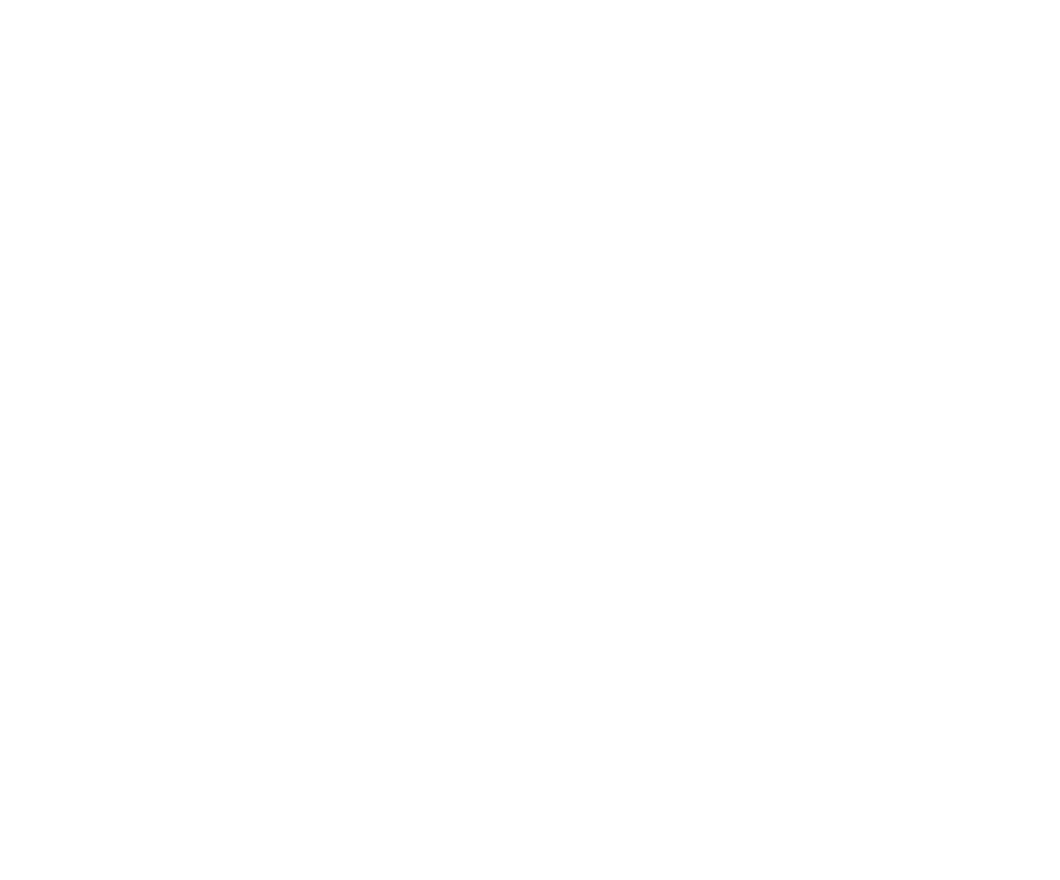Flagler Jet logo